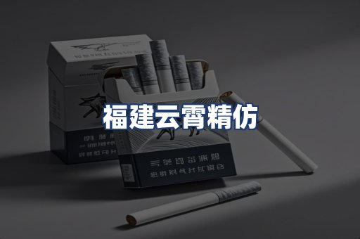 福建云霄精仿
